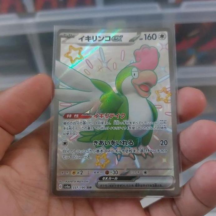 Squawkabilly EX SSR sv4a Pokemon TCG Japan