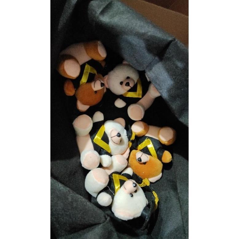 CUCI GUDANG Boneka Wisuda Mini Boneka Wisuda Bear Mini Boneka Bear Wisuda Boneka Teddy Bear Wisuda M