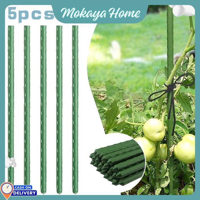Mokaya Home - 5Pcs 180cm Plant Stake Ajir / Plant Stake Ajir Tanaman / Tiang Penyangga Tanaman