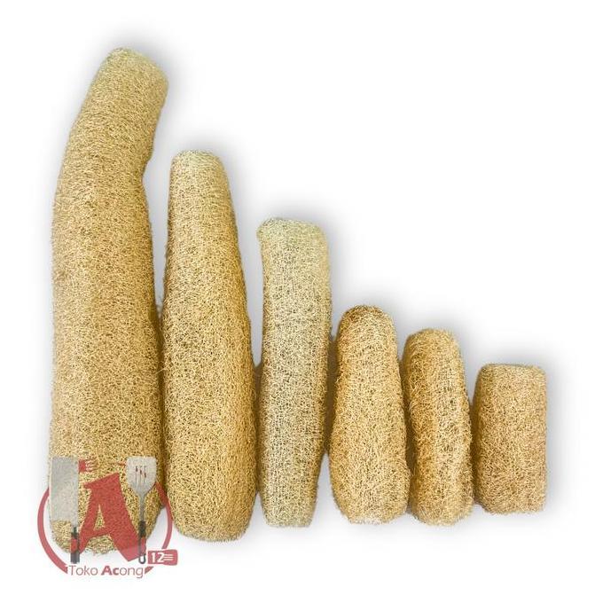 Serat Oyong XL Sabut Oyong / Sikat Oyong / Gambas Loofah Luffa SUPER BESAR