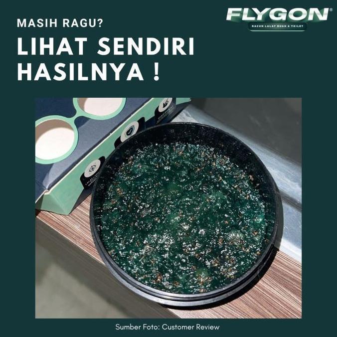 Pulito- Racoon Flygon Racun Umpan Lalat Buah & Kamar Mandi