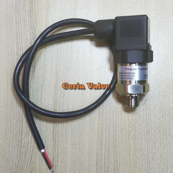 Industrial Pressure Transmiter 100 Bar 4-20Ma ( Dc 12V / 24V ) Wnk81Ma Baru