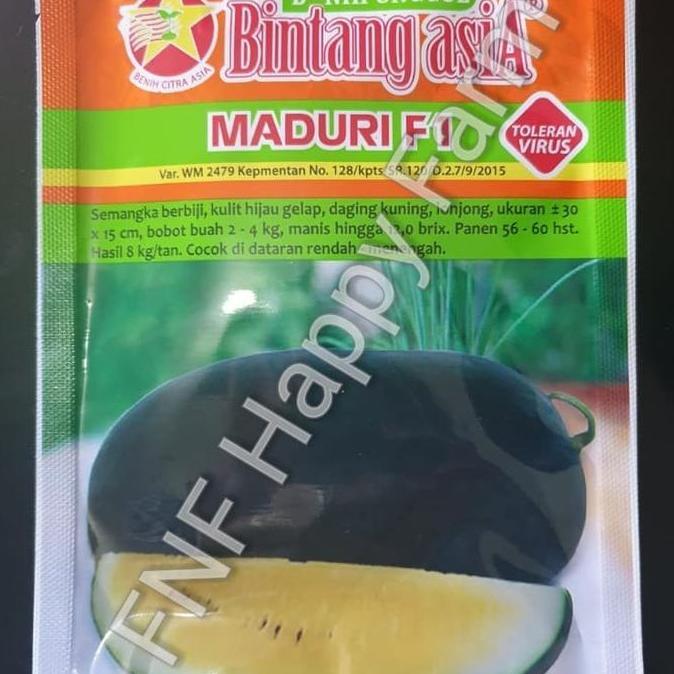 Bibit Semangka Kuning Maduri | 20gram