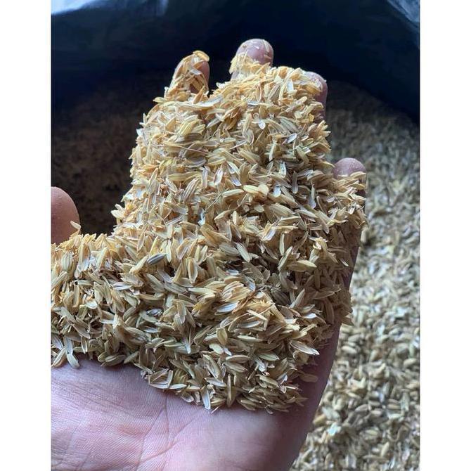 Media Tanam Organik Subur Ramah Lingkungan Sekam Penuh Nutrisi Gizi untuk Pertanian Hijau GEMBUR SUB