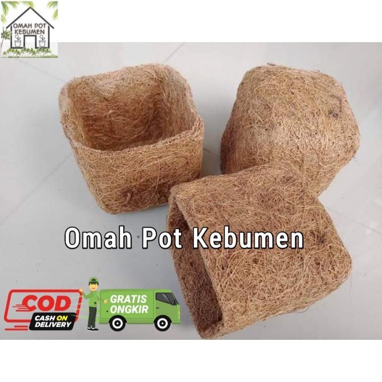 Readyyy Pot sabut kelapa/Pot sabut Kelapa/Pot Anggrek/Pot Serabut Kelapa/Media Tanaman Anggrek