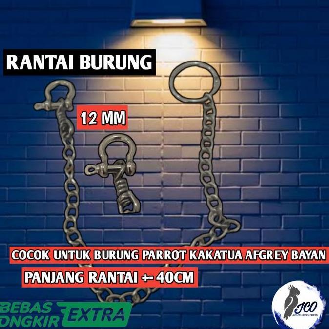 RANTAI RING OMEGA BURUNG PARROT KAKATUA AFGREY RING OMEGA 12MM murah