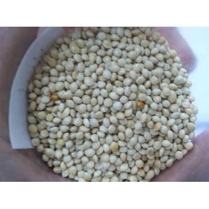 Milet putih 500 gram - milet vita murah