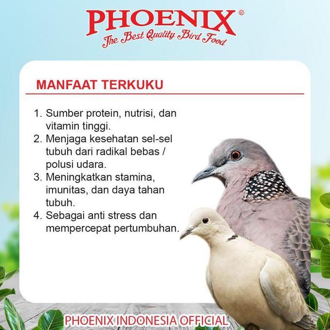 PHOENIX TERKUKU Pakan Terkuku Untuk Derkuku Puter Pelung Phoenix MILLET PUTIH MERAH murah