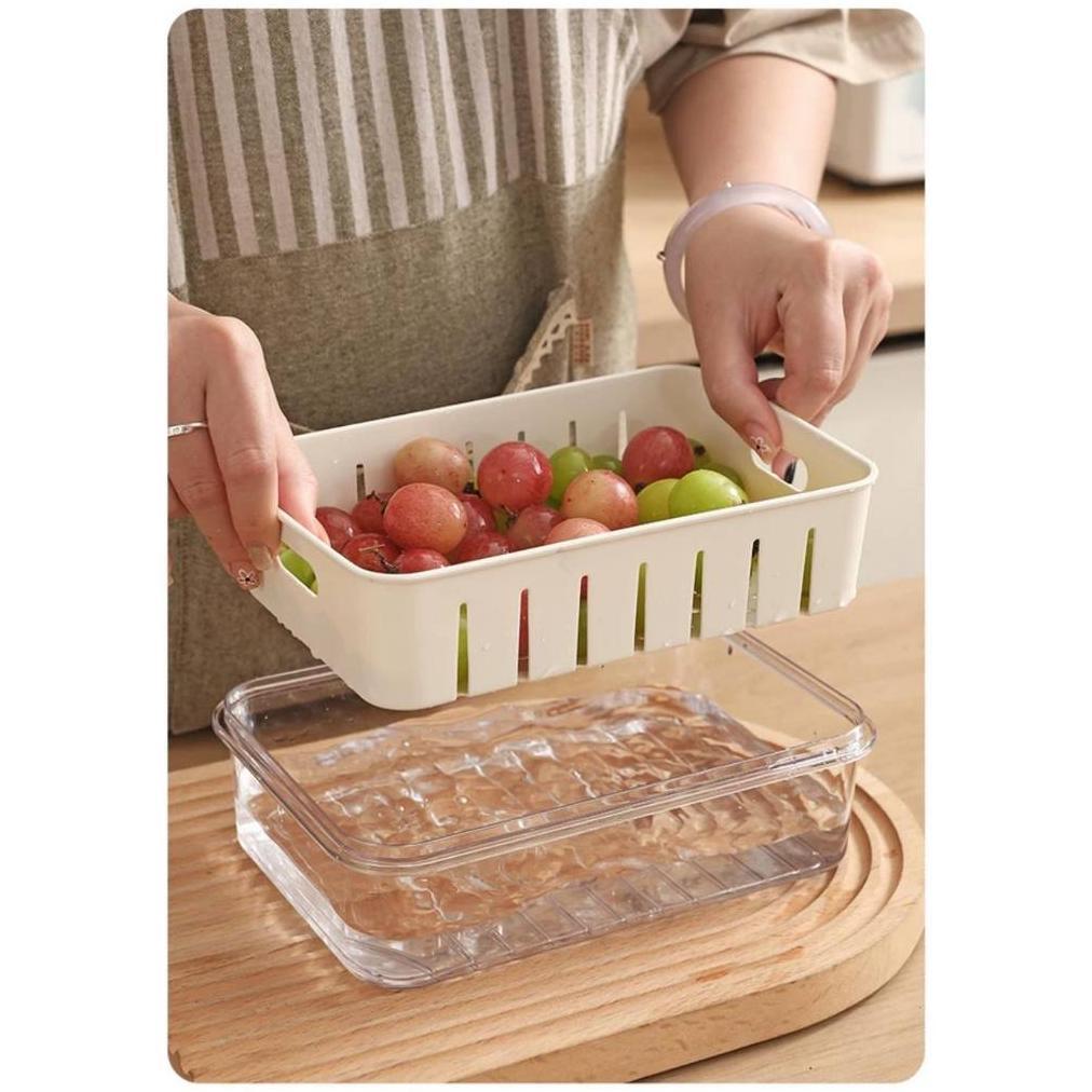 Discount FSB Container Kulkas Tempat Peyimpanan Kotak Penyimpanan Kulkas Rak Portabel Disegel Gesper