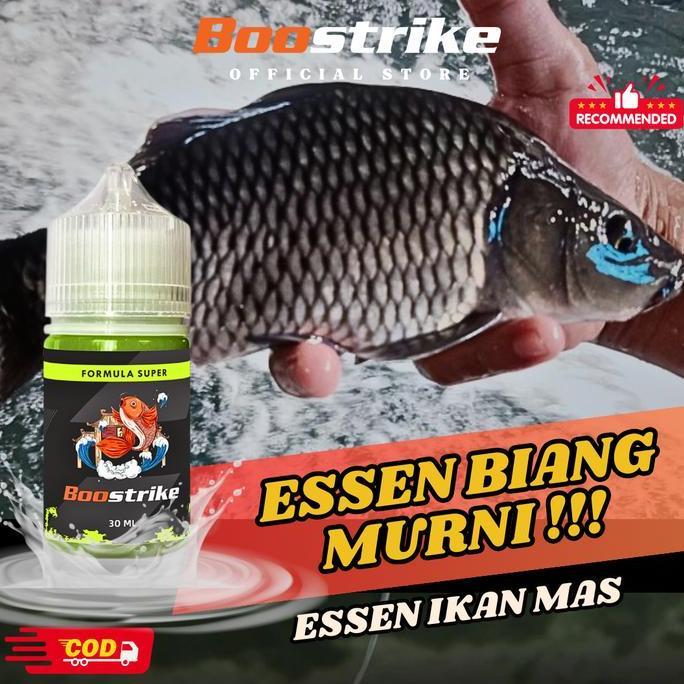 Essen Ikan Mas Cocok Segala Cuaca - Umpan Terbaik