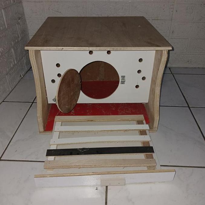 GUPON DARA RUMAH BURUNG DARA