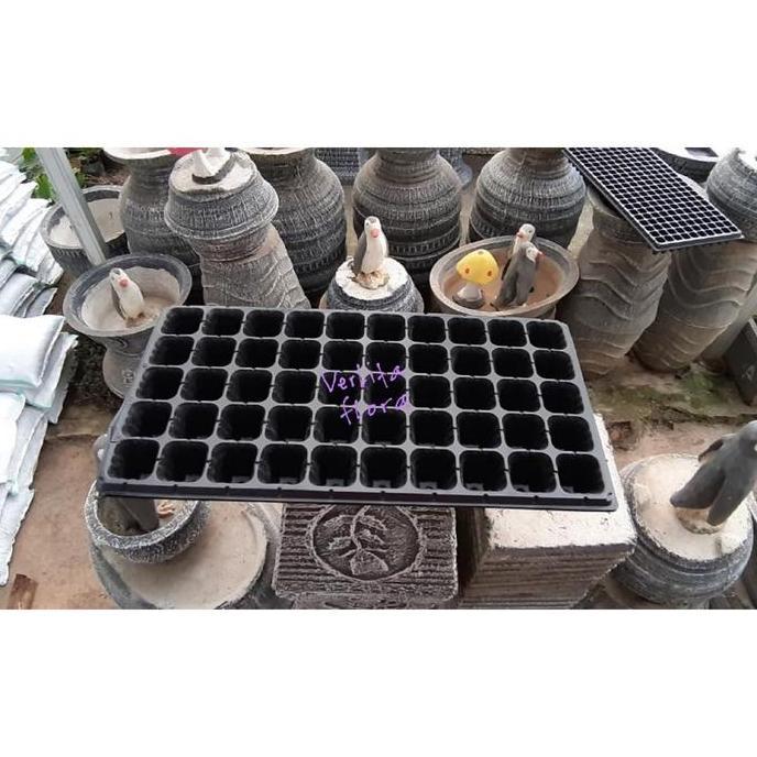 Tray Semai 50 Lubang