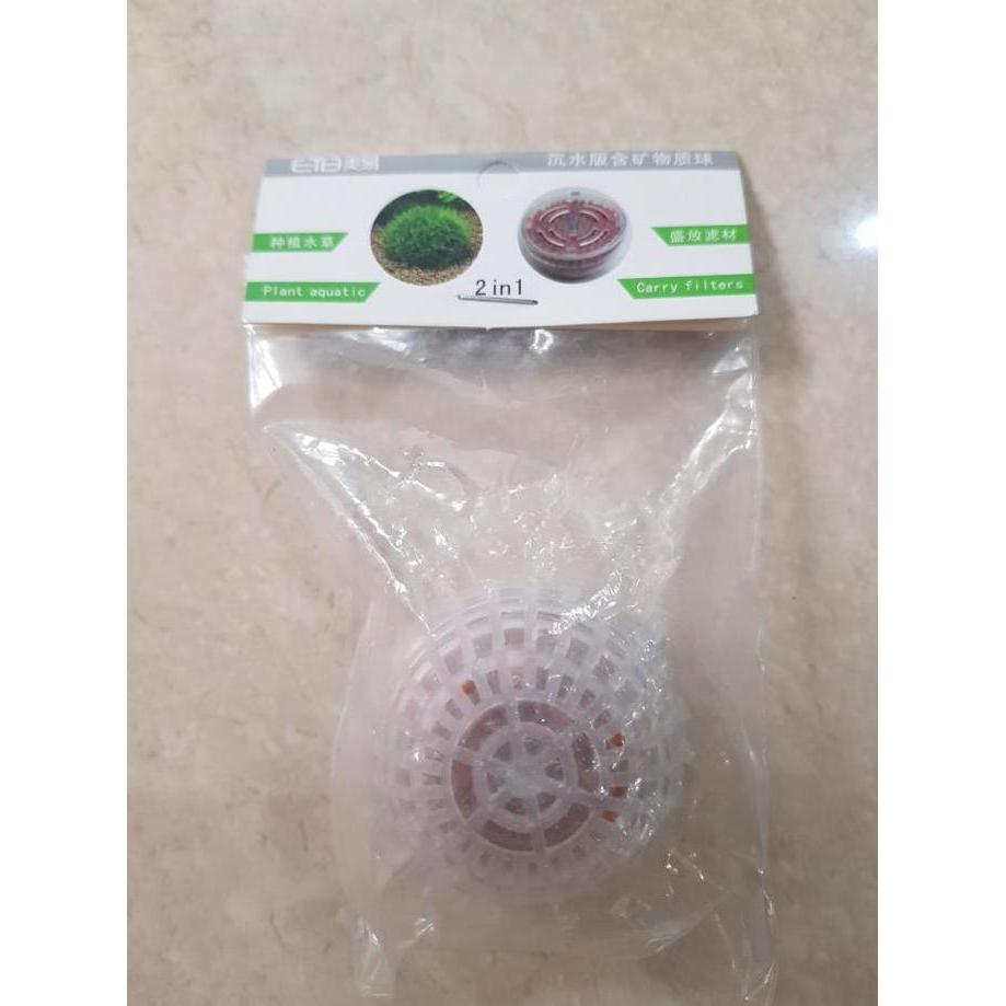 Moss dome (media tanam moss)