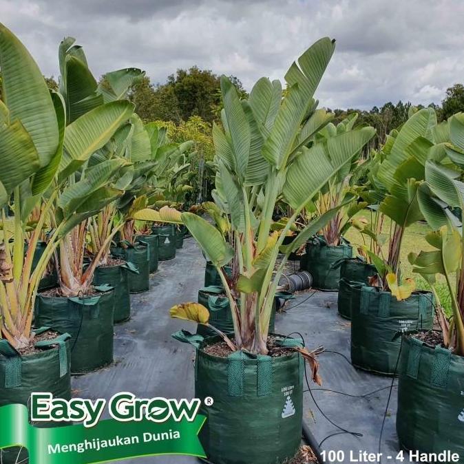 Planter Bag Easy Grow 100 Liter