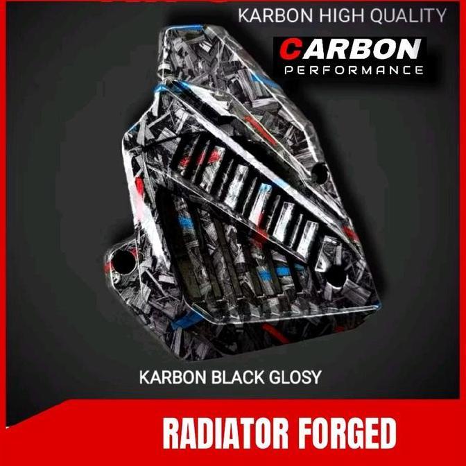 Radiator Vario New Carbon Forged / Radiator Vario 125 150 Carbon Forged Tutup Radiator Carbon Vario 