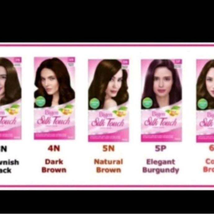 BIGEN SILK TOUCH HAIR COLOR CREAM Cat rambut