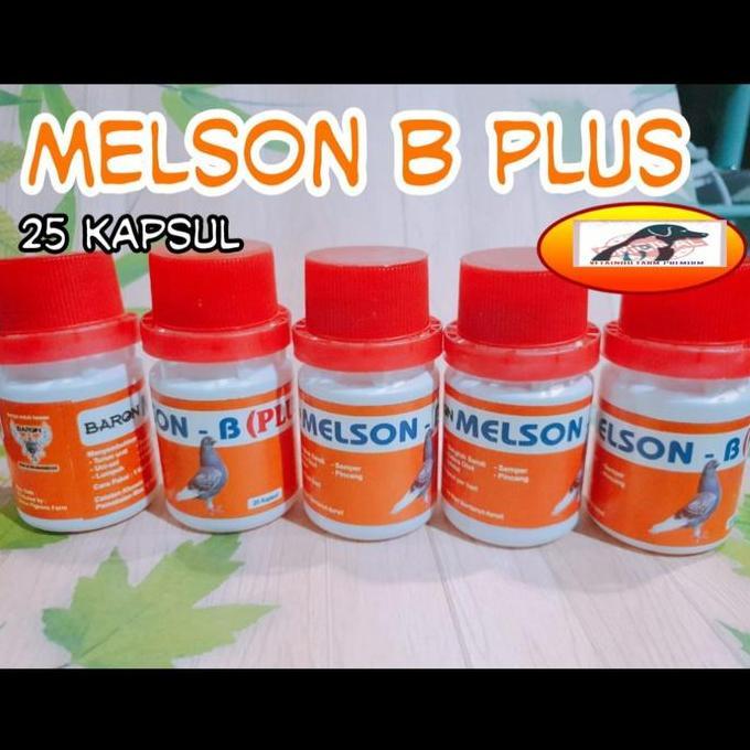 Fugl- Melson B Plus Baron Burung Sakit Merpati Turun Urat Semper Lumpuh