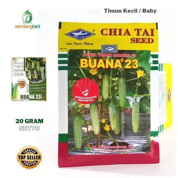 Terlaris Timun Semi Baby Buana 23 F1 Benih Bibit Timun Kecil Bebi Cap Kapal Terbang