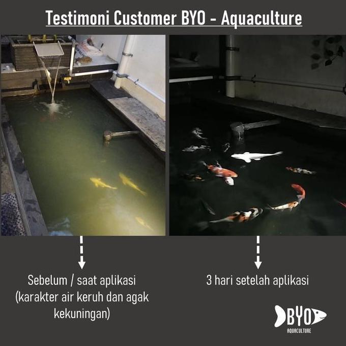 Sakana- Clay Koi - Penjernih Kolam Koi / Clay Basic (Murni Clay)