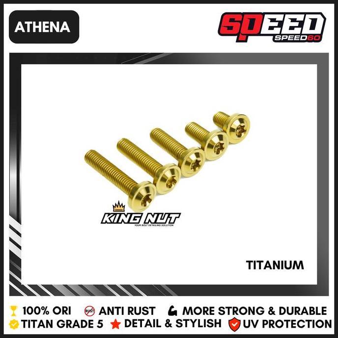 Probolt Baut Titanium Probolt Baut Titanium M 8 X 60 Drat