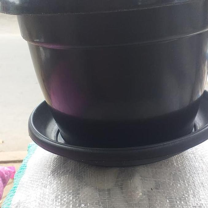 pot 25 cm +tatakan