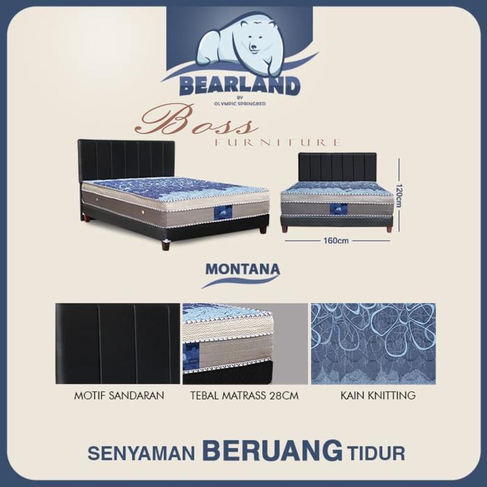 SET Springbed Bearland Procella Grizzly