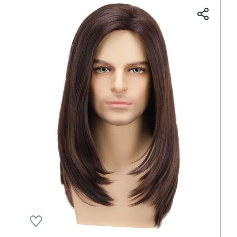 Wig Pria Panjang Wig Pria Korean Style Wig Lurus Panjang Various Hair Accessories
