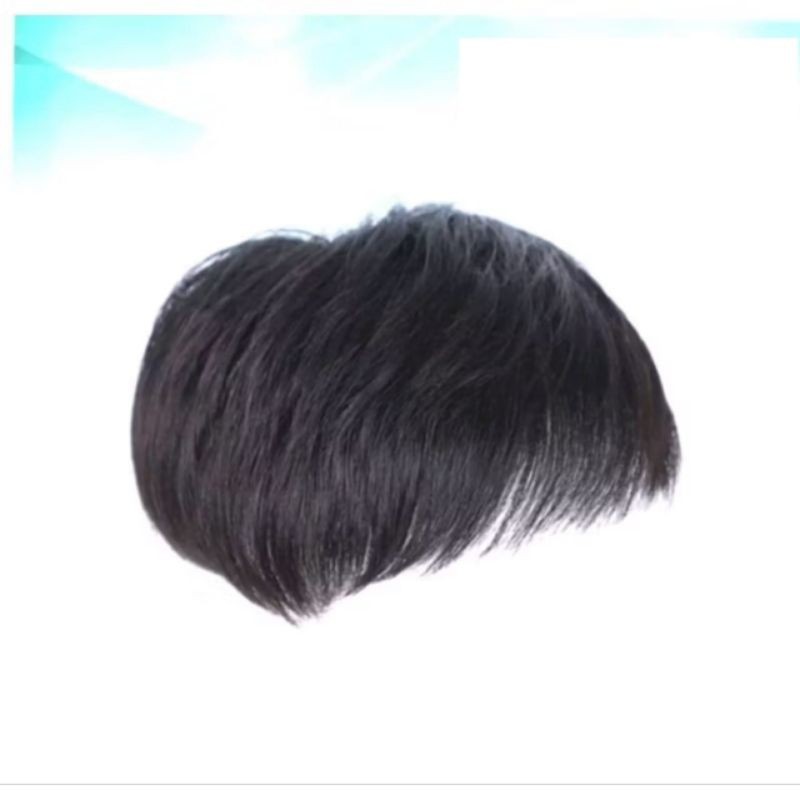 Wig/Rambut Palsu Pria Penutup Botak/Toupee Pria Botak/Wig Pria Penutup Botak