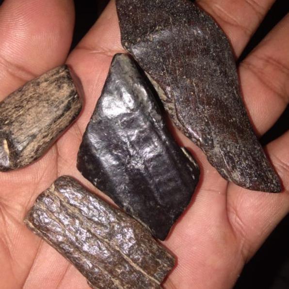 Batu Wisa Atau Batu Sedot Racun