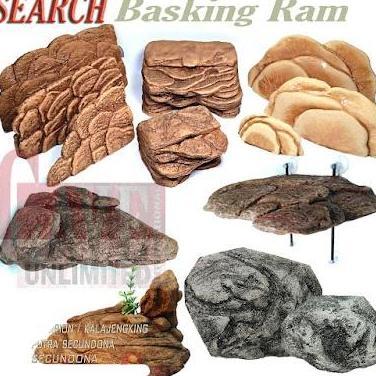 BASKING SPOT RAMP KURA KURA AIR BRAZIL AMBON CST RES DAMER KADAL TORTOISE SULCATA TANGKRINGAN TEMPAT