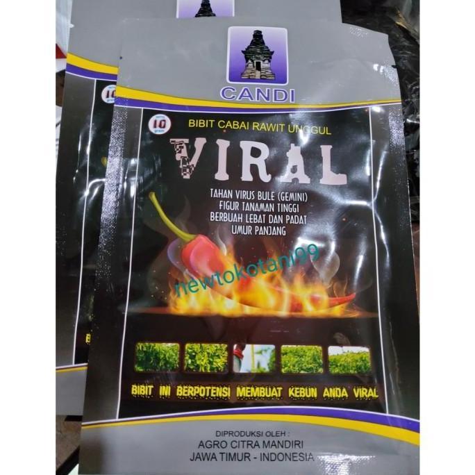 Benih cabe VIRAL 10 gram cabe rawit viral 10gr dari agro citra mandiri