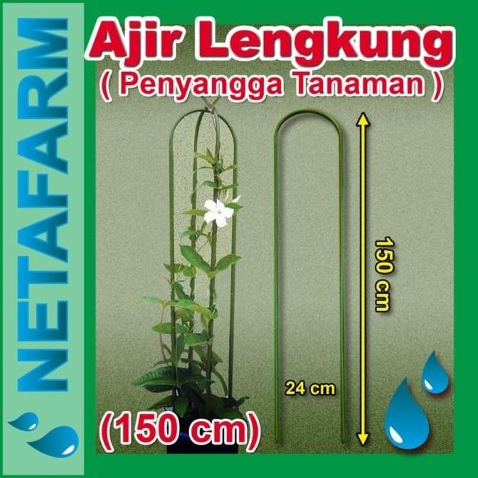 AJIR LENGKUNG - Tinggi 150 cm ( Penyangga Tanaman )