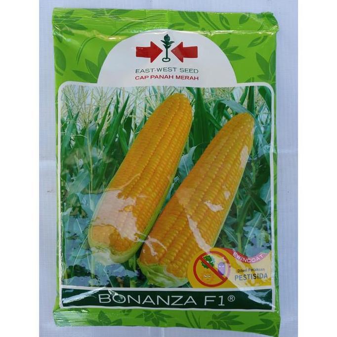 Benih Jagung Manis BONANZA F1 1800 Biji - Bibit Cap Panah Merah