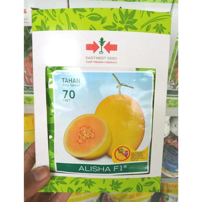 Benih Melon Golden ALISHA F1 400 Butir - Bibit Cap Panah Merah