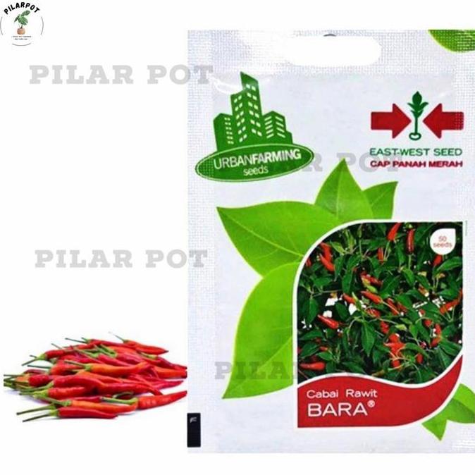 benih bibit cabai rawit bara cap panah merah - CABAI RAWIT BARA