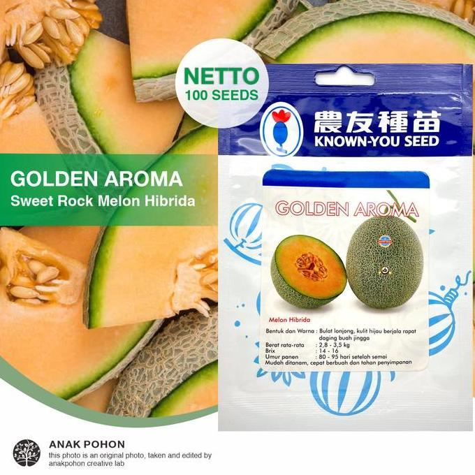 (1 PACK - 100 SEEDS) Benih Melon Golden Aroma Oranye Hibrida F1 Seeds - Known You Seed KYS