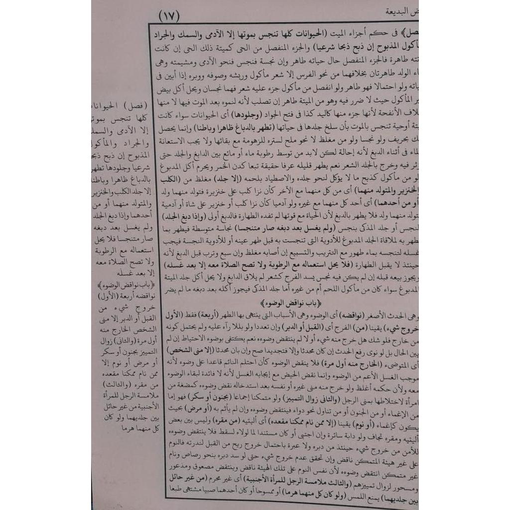 Ready riyadhul badiah