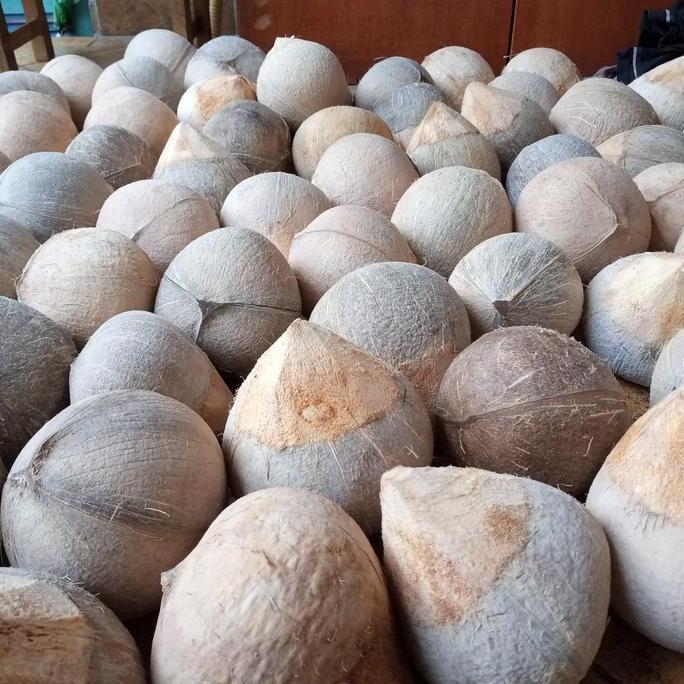 PRODUK FRESH KELAPA KOPYOR FROZEN 250 GRAM KODE 773