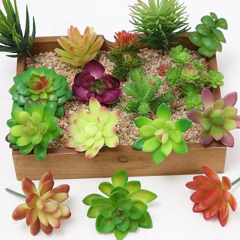 BEST SALE Kaktus Sukulen Plastik Latex Tebal Ukuran Sedang - Kaktus Palsu Artificial - Tanaman Kaktu