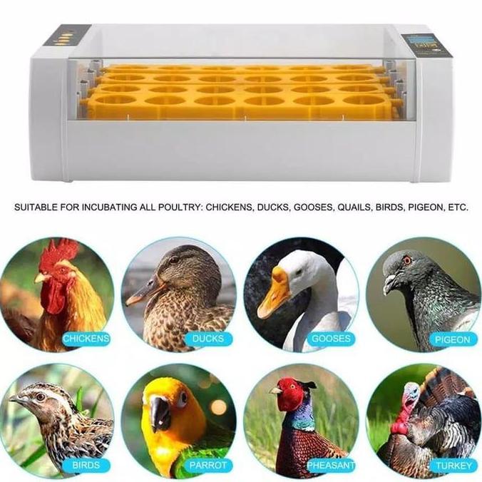 Inkubator Mesin Penetas Telur otomatis burung ayam merak punyuh 36 egg