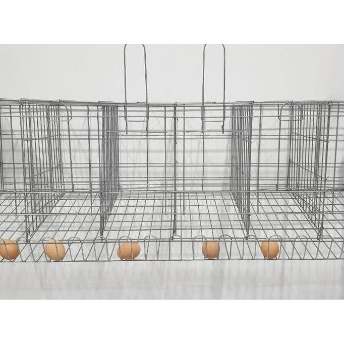 kandang galvanis ayam petelur 6 Ayam 6 pintu murah