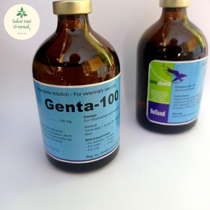 Genta-100 Antibiotik Hewan Gentamycin