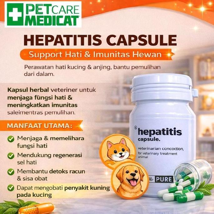 Obat Penyakit Kuning Kucing Dan Anjing Obat Hepatitis Liver Hewan Petcare Medicat