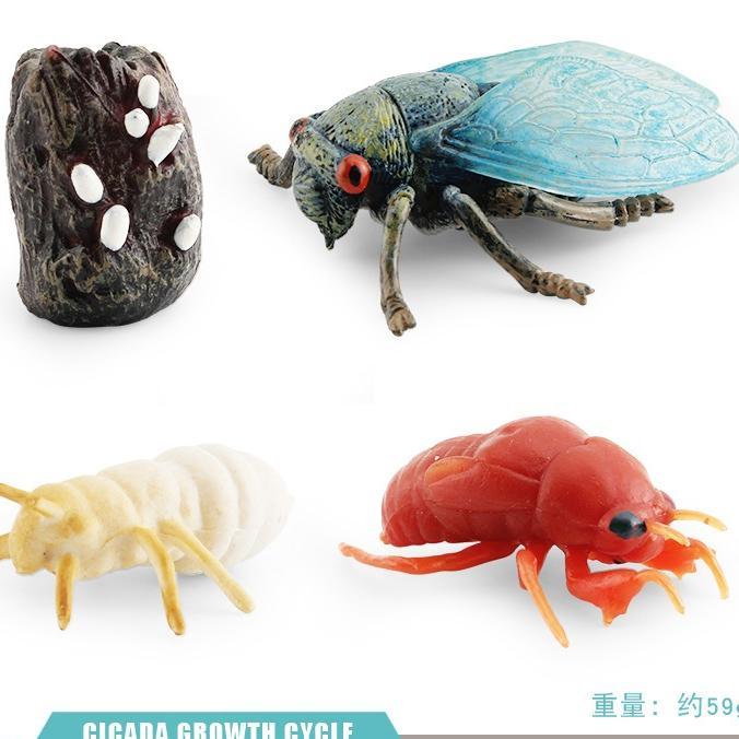 Promo !!! Mainan Binatang Edukasi Anak Tk Sd Hewan Belajar Mengenal Metamorfosis Simulasi Hewan Main