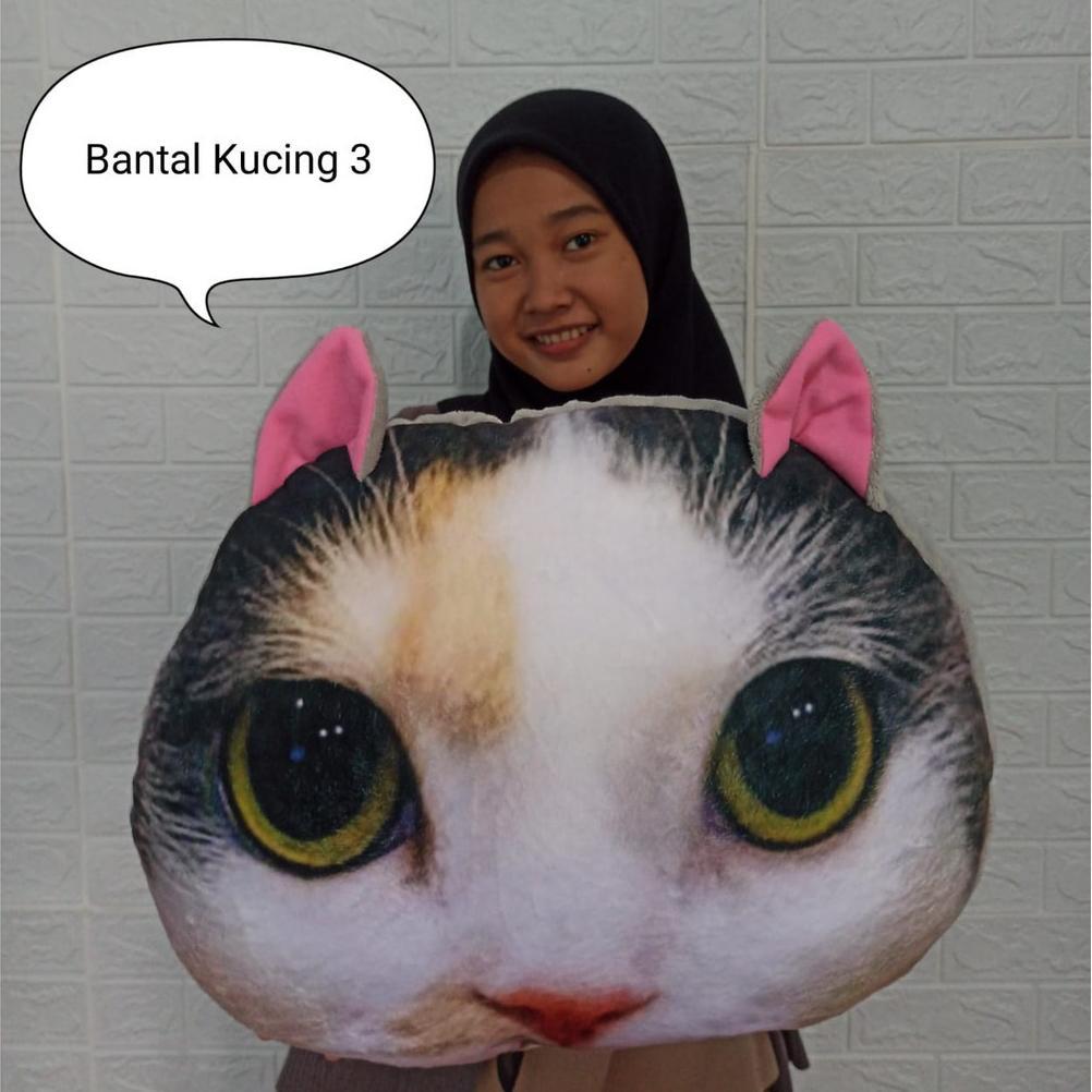 Premium Bantal Boneka Kucing Cat Lucu Boneka Jumbo Bantal Kucing Bantal Karakter Hewan