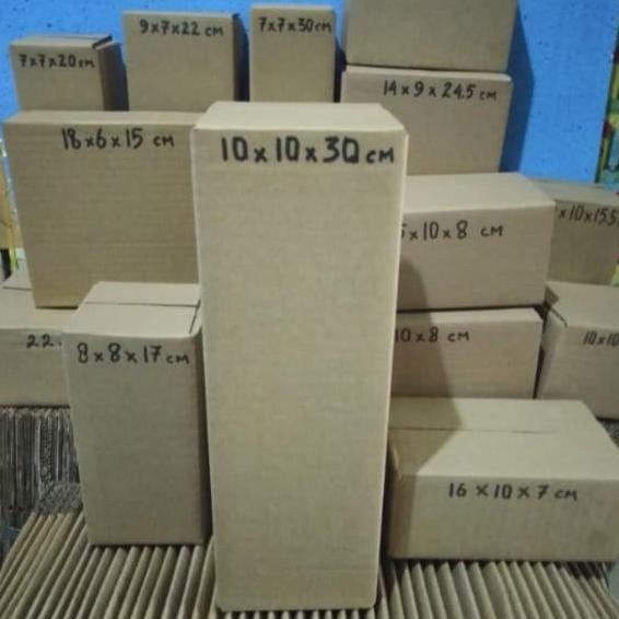 kardus packing 10 x 10 x 30