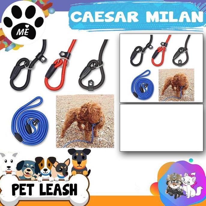Tali Tuntun Anjing Cesar Milan " LARGE " Tali Tuntun Pelatih