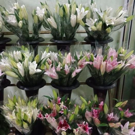 Bunga Casablanca Lily ECER (Bunga Potong Segar Jakarta)