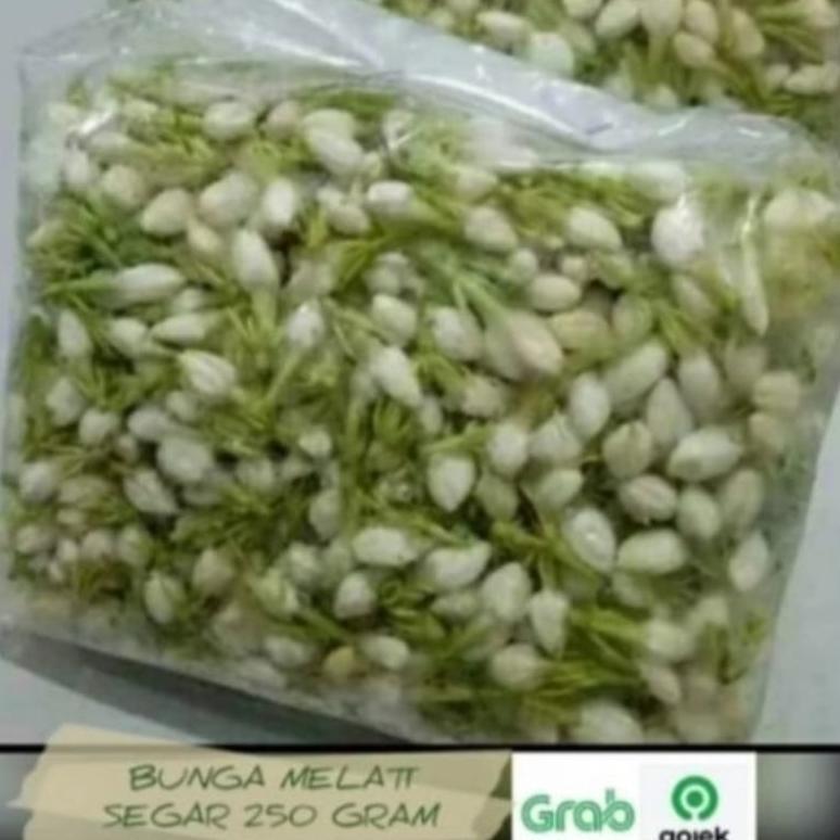 Melati Fresh Segar / Bunga tabur melati
