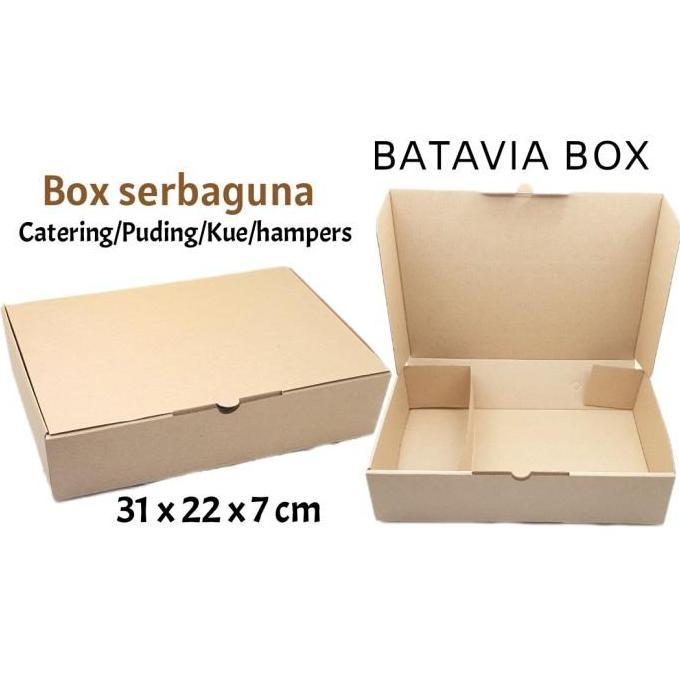 Box catering serbaguna 31x22x7 sekat dalam